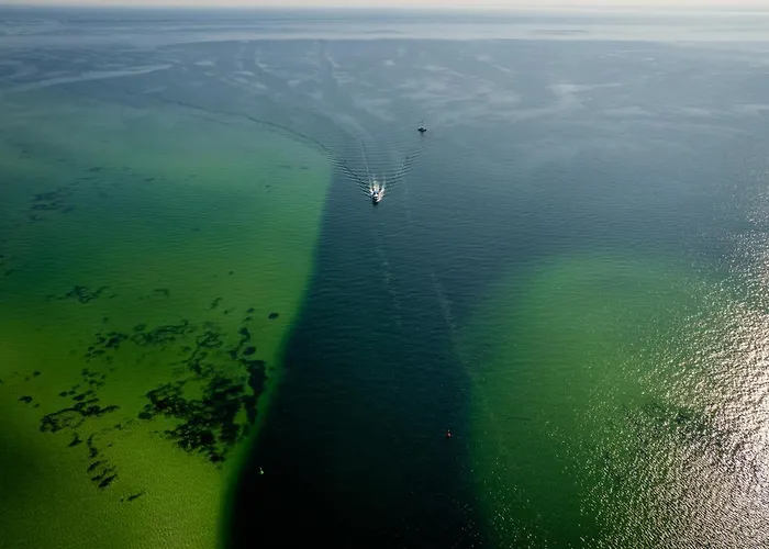 Blueapart Portowa * Jastarnia